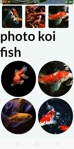 koi fish wallpaper