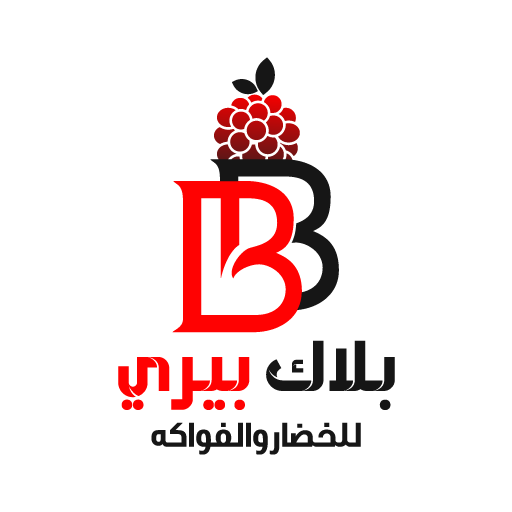Black berry | 10 logo