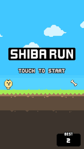 Chạy Shiba