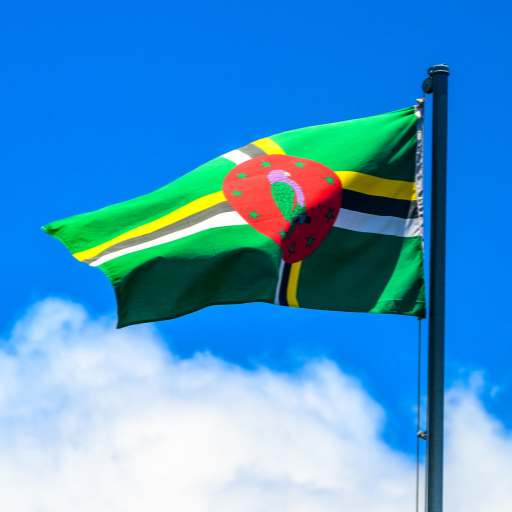 Dominica flag logo