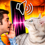 Cover Image of Télécharger Cat Translator - traduire chat  APK