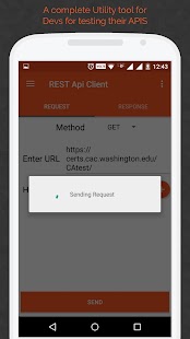 REST Api Client Android لقطة شاشة