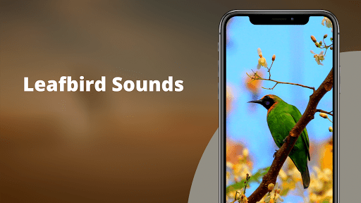 Android application Leafbird Sounds screenshort