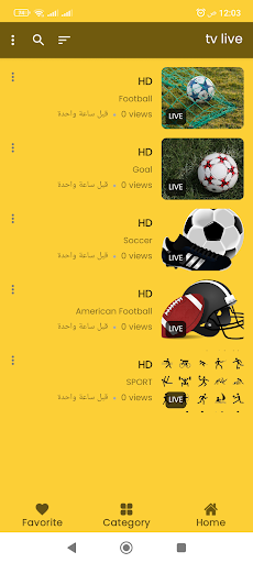 Tv Brasil Ao VIvo Futebol Screen 3