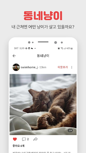 펫시터 방문탁묘 산책 캣시터 애견호텔 애묘호텔 펫보험.
