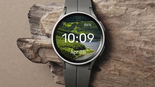 Screenshot image