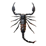 Scorpion simulator icon