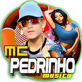 Mc Pedrinho : Bailarina Funk Música Canção icon