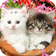 Top 40 Entertainment Apps Like Cute Baby Animals Pictures - Best Alternatives