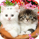 Cute Baby Animals Pictures - Androidアプリ