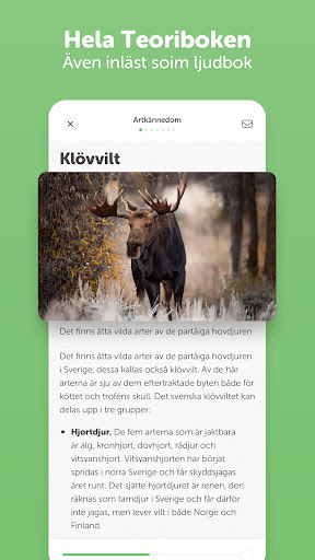 Ta Jägarexamen - Prova på Screen 3