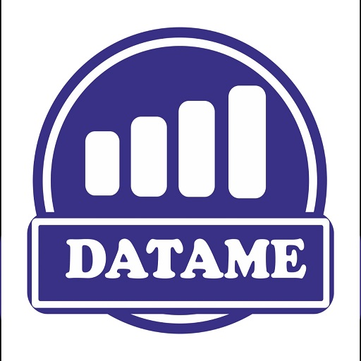 Datamesolution logo