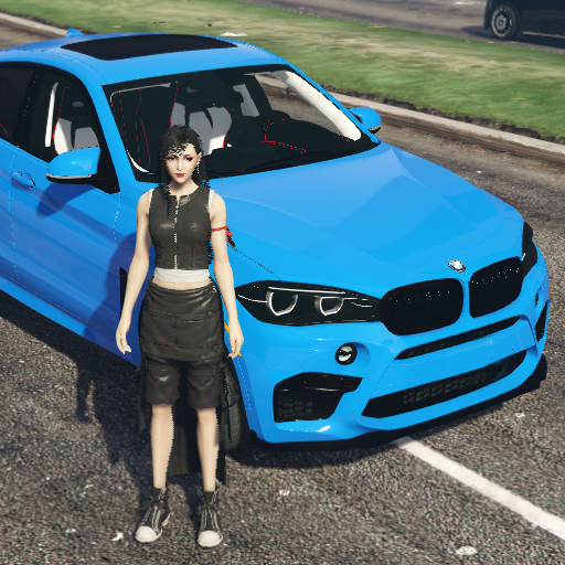 X6 BMW Simulator Speed Racer