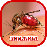 Malaria Disease Help icon