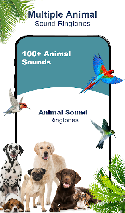 Animal Sounds: Funny Ringtones - New - (Android)