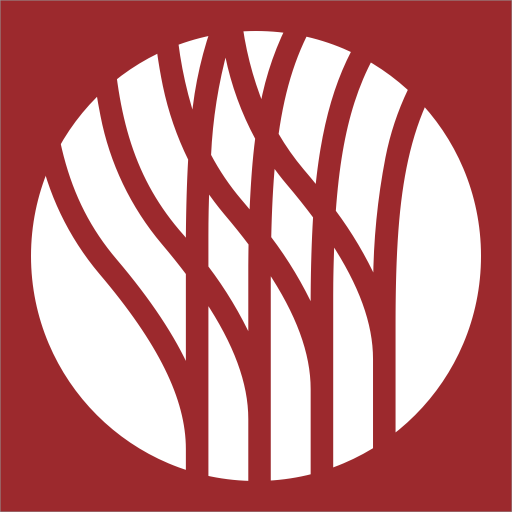 KLS Data logo
