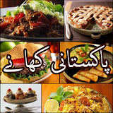 Pakistani Urdu Recipes icon