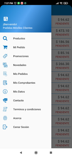 Pedidos Moviles Clientes Screen 2