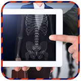 Xray Scanner Body Simulated icon