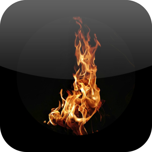 Daily Roast logo
