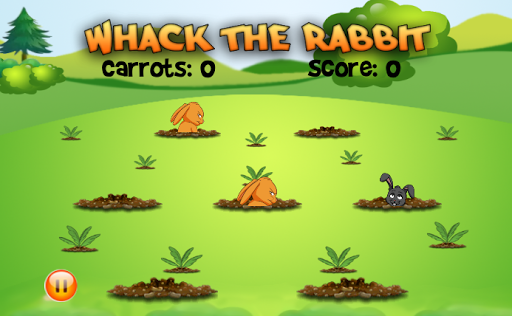 Whack The Rabbit