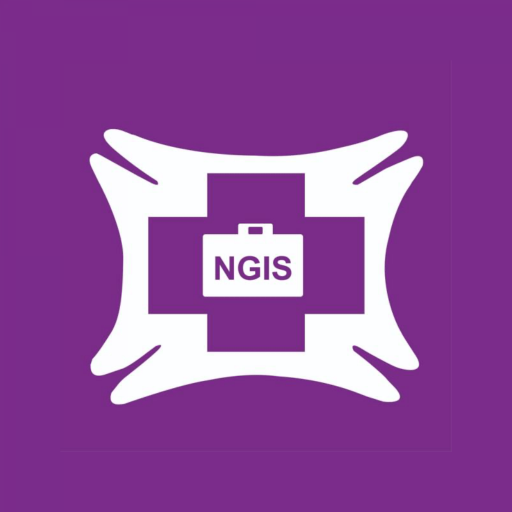 NGIS Mobile