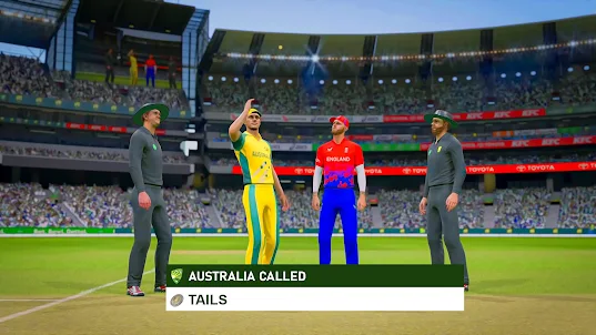 Real Cricket Challenge Game