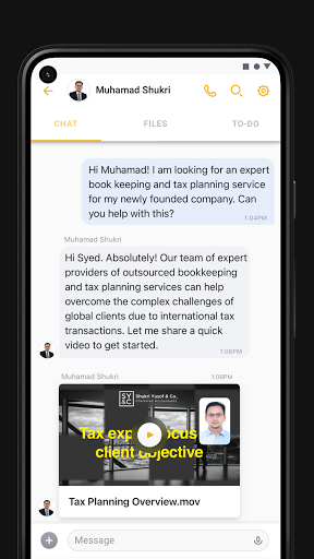 Synco: Accountant Support Screen 3