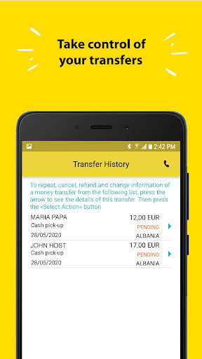 PayLink Money Transfer Screen 3