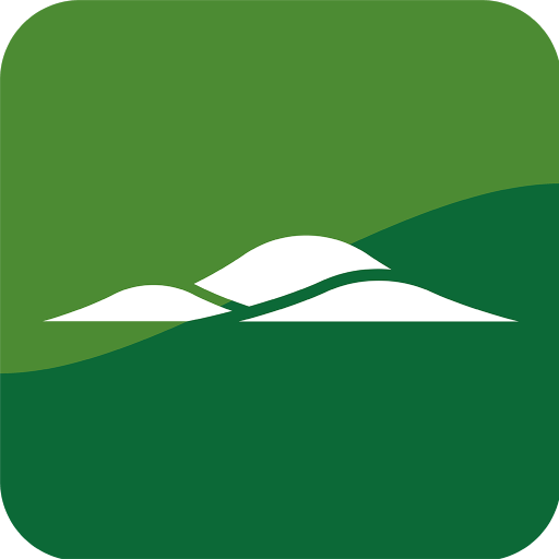 Lomas Del Valle logo