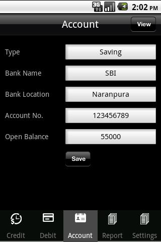 iAccounts Screen 2