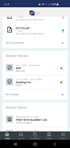 BDI Online Screen 2