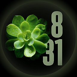 Icon image Liquid Glass Watch Face
