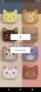 Cats Connect