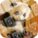 Panda Chub Keyboard Theme icon
