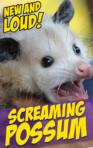 Screaming Goat Air Horn Screen 2