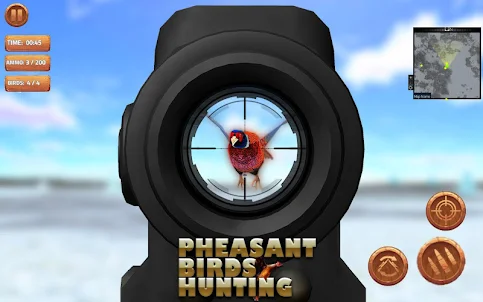 Pheasant birds hunting Games