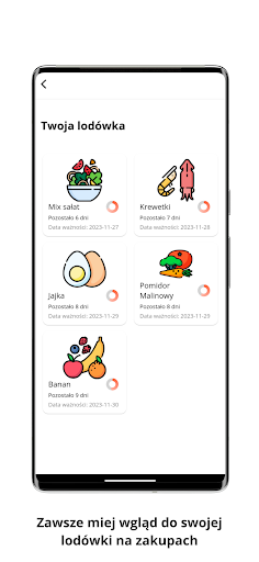 Eco Fridge Screen 3