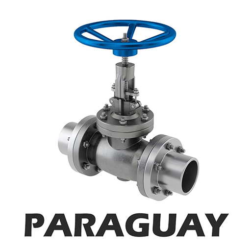 Cabezales Paraguay logo