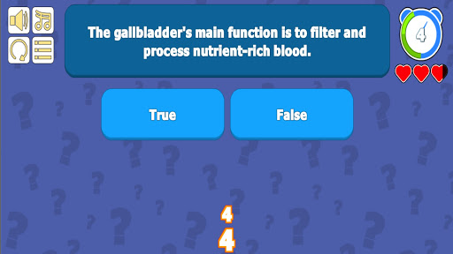 Intestines  Digestive System Overview