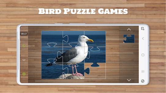 Bird Puzzle Games 1