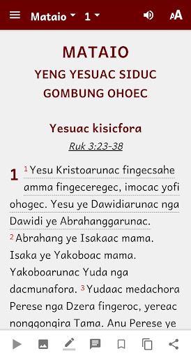 Dedua Bible Screen 2