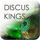 Discus Kings icon