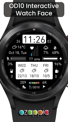 OD10 Interactive Watch Face Screen 3