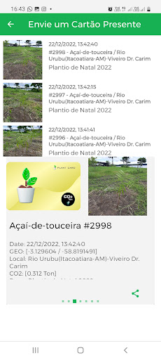 Tree Earth Screen 2