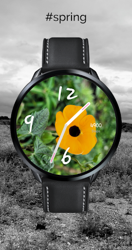 Floral Stock Watch Face Screen 3