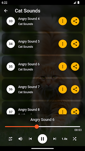 Cat Sounds Ringtones,sms - Apps on Google Play