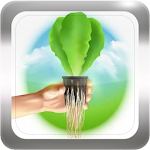Cover Image of 下载 How To Grow Hydroponics Grow  APK