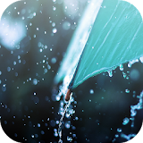 Rain Live Wallpaper HD icon