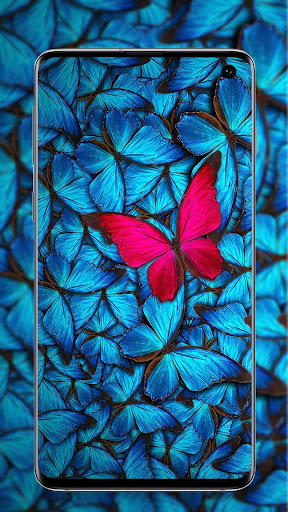 Download Butterfly Wallpaper Colorful Butterfly Hd 4k Free For Android Butterfly Wallpaper Colorful Butterfly Hd 4k Apk Download Steprimo Com